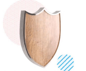 Zoho Security