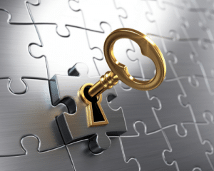 Enterprise On Premise License